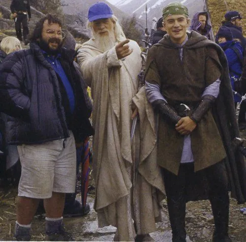 The Fellowship from The Lord of the Rings